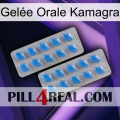 Gelée Orale Kamagra 23